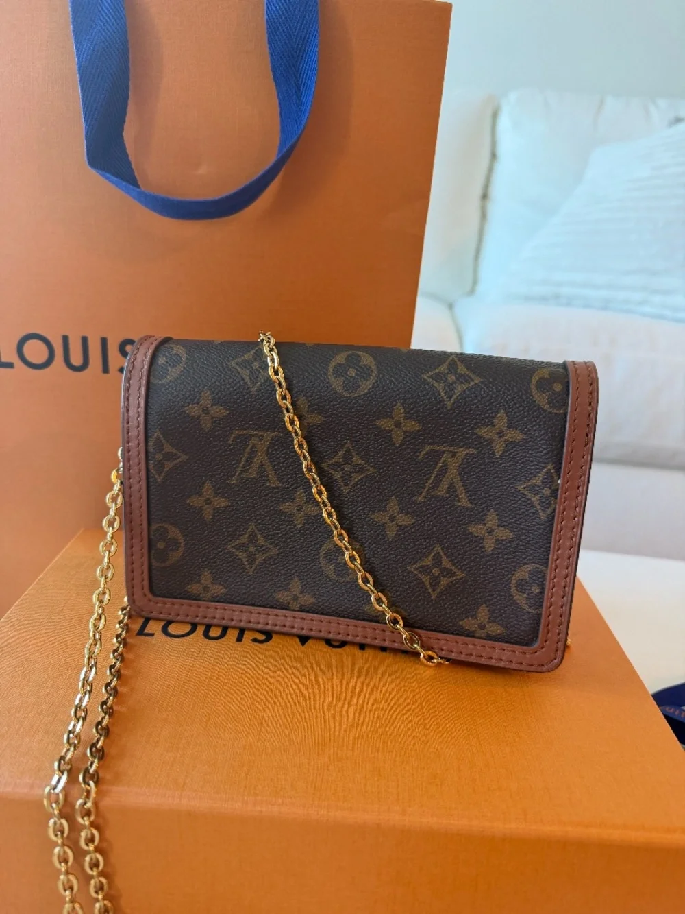 Louis Vuitton Dauphine Chain Wallet